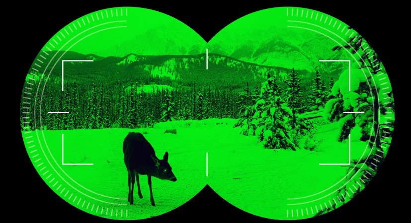 сравнение эффективности тепловизионных и ночных прицелов сравнение эффективности тепловизионных и ночных прицелов